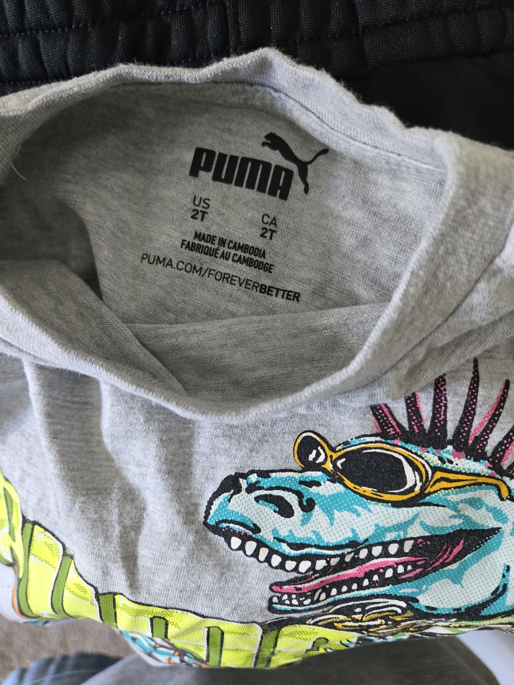 Puma Kids' 2T Gray Dino Graphic Tee and Black Jogger Bottoms #0092 - Picture 7 of 7
